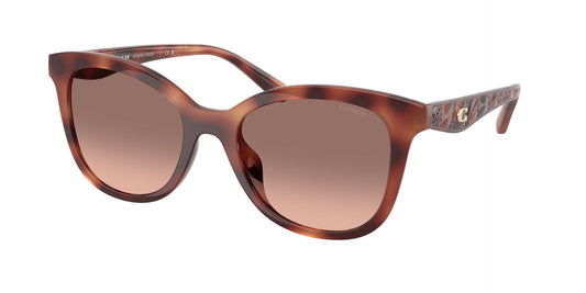 0HC8419U-Coach Sunwear-Caramel Tortoise