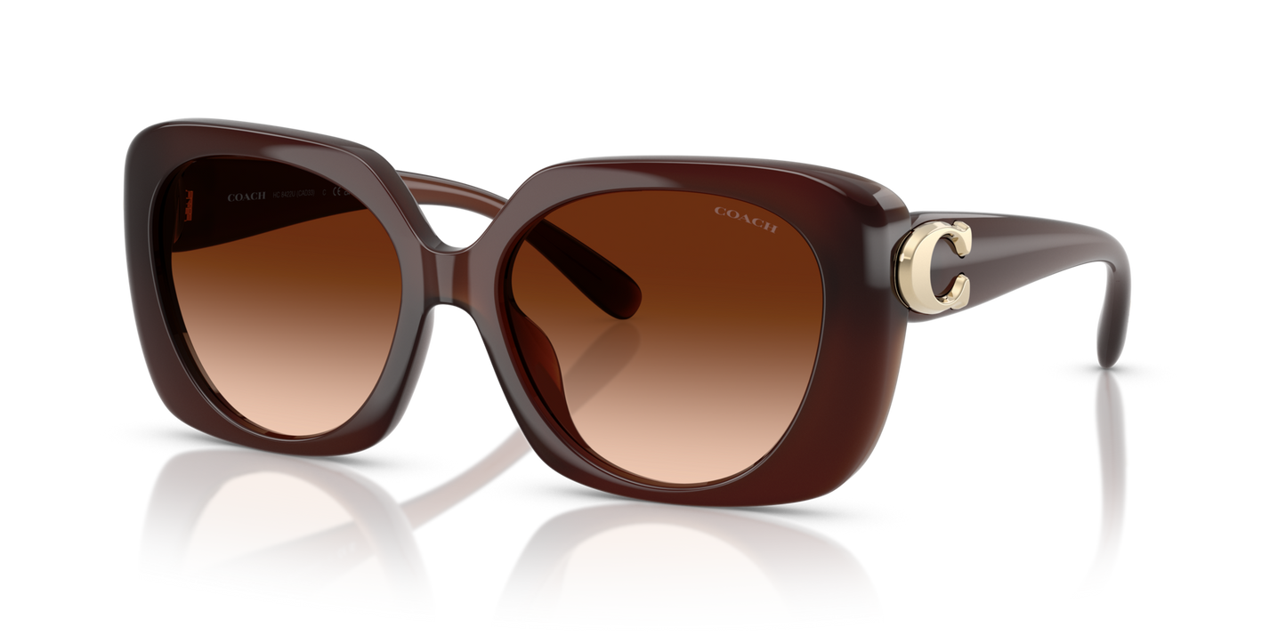 0HC8422U-Coach Sunwear-Milky Hazelnut