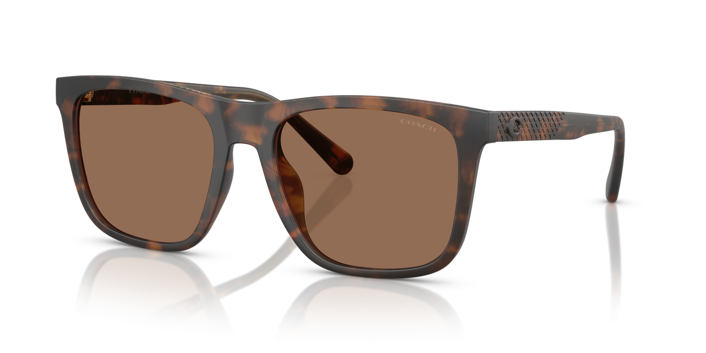 0HC8427U-Coach Sunwear-Matte Dark Tortoise