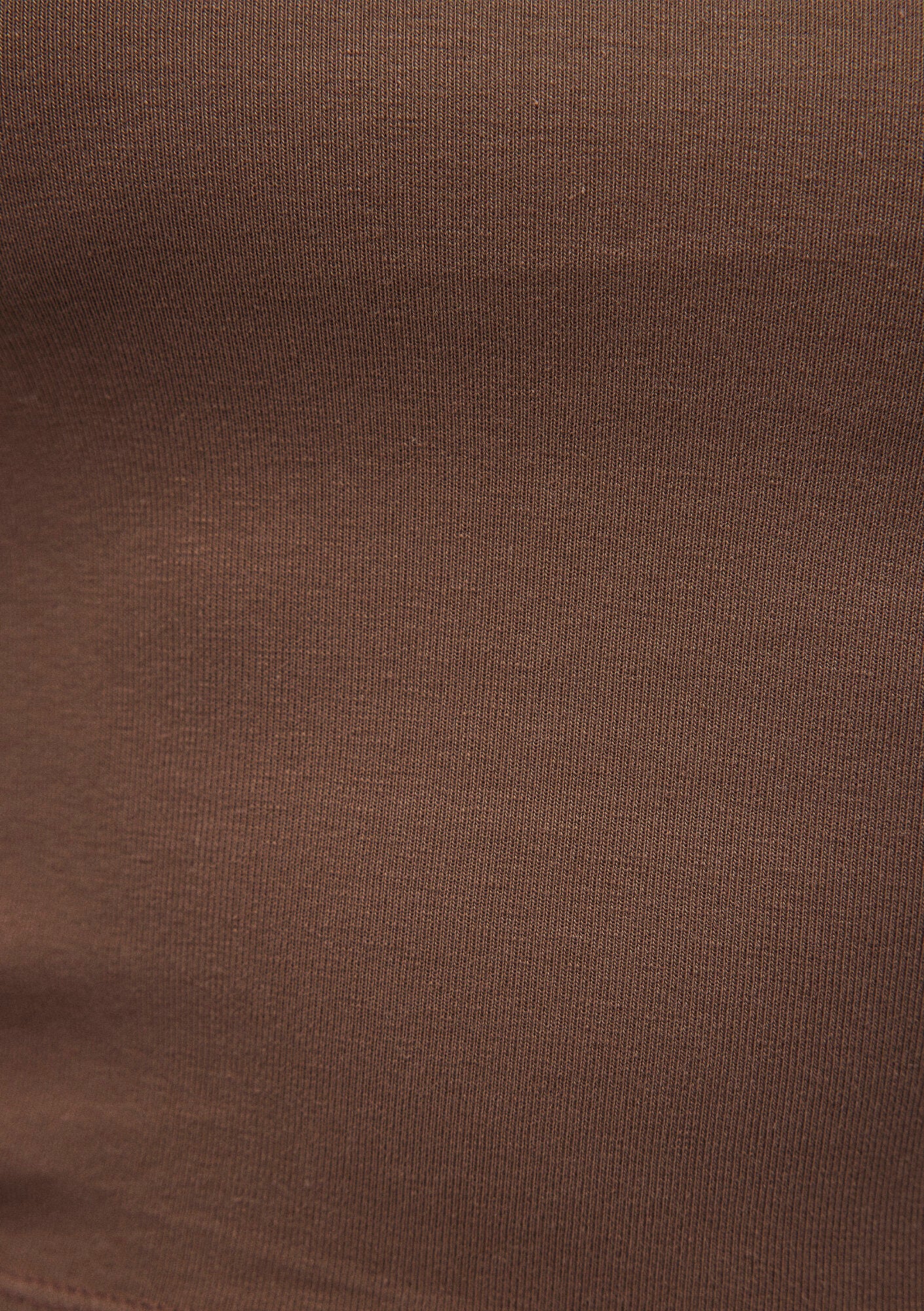 Brown Long Sleeve Crop Basic T-Shirt