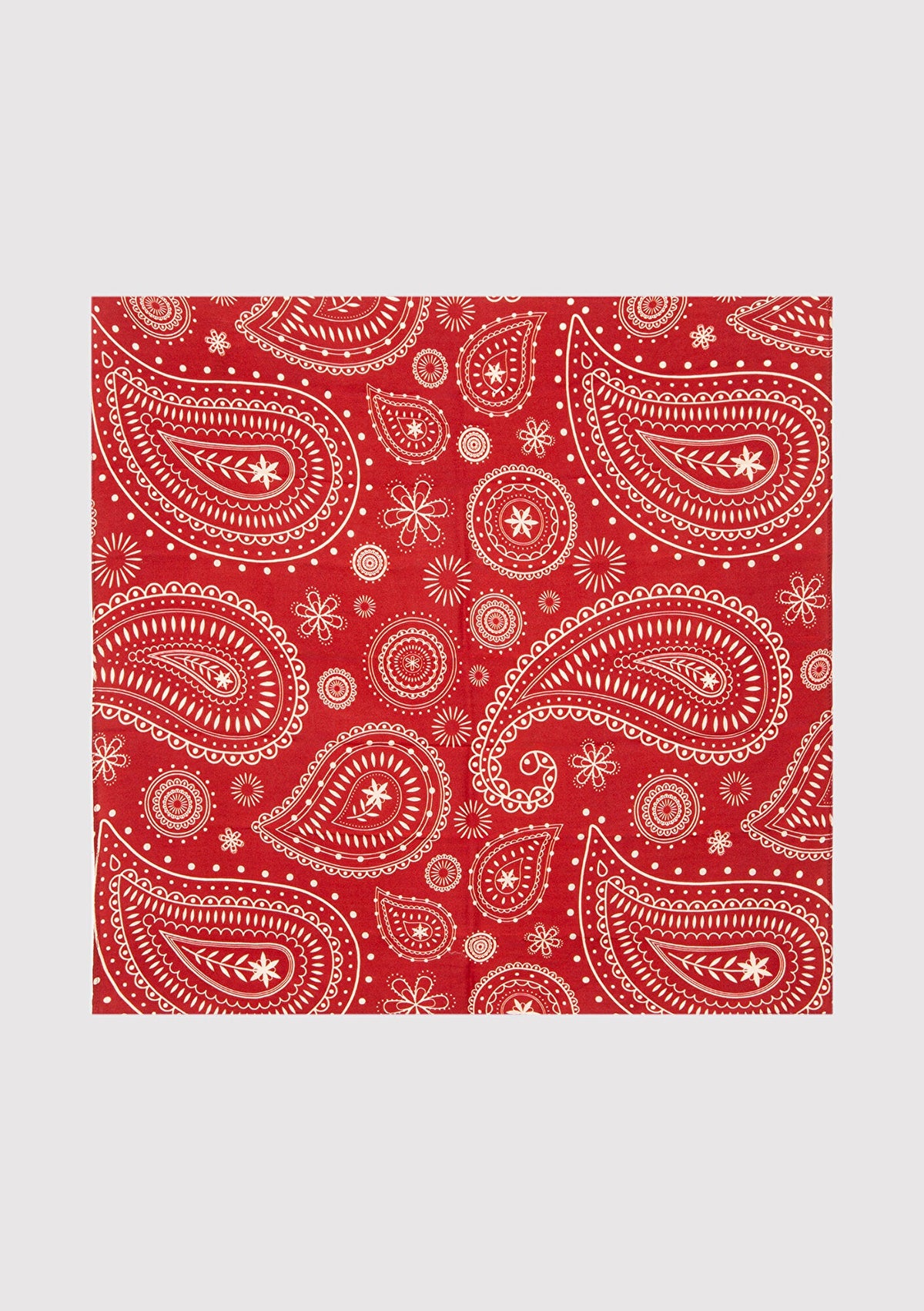 Printed Red Bandana