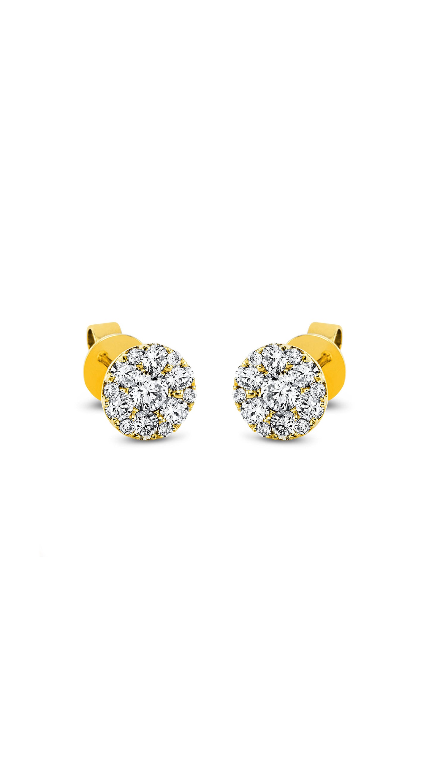 Modern Woman Exclusive Earstuds 2E839G8-2