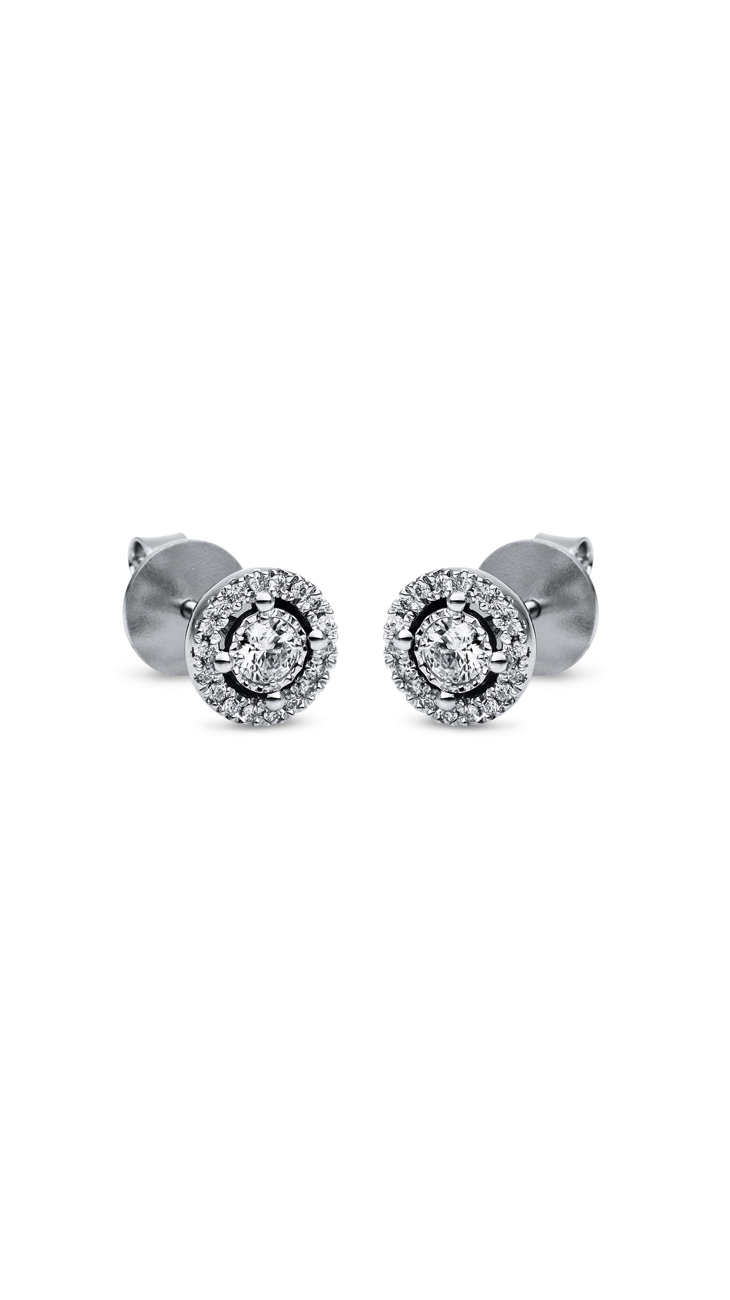 Modern Woman Exclusive Earring 2H035W8-8