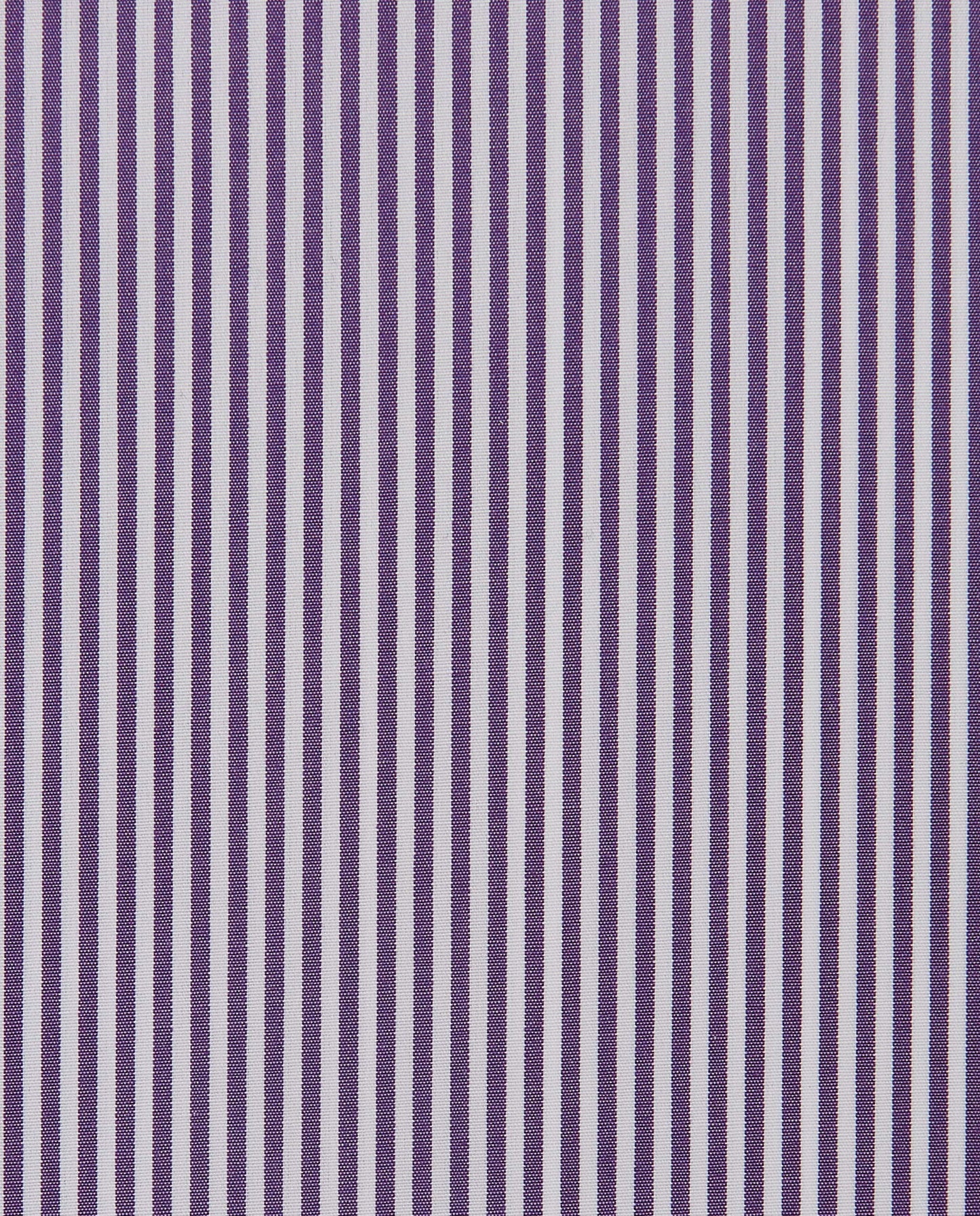 CCCHLLPBG024994VIOLET