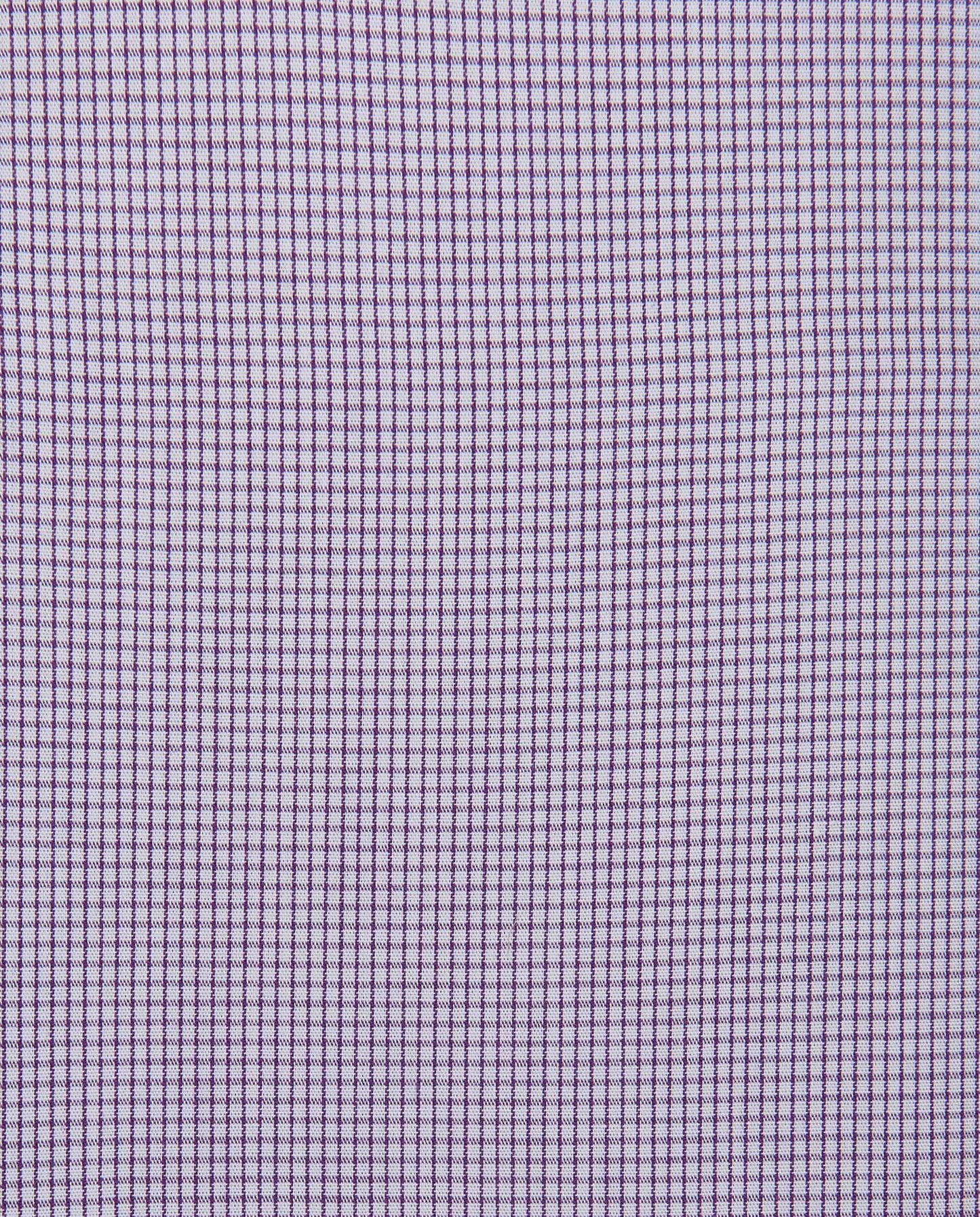 CCNQLKPBG027491VIOLET