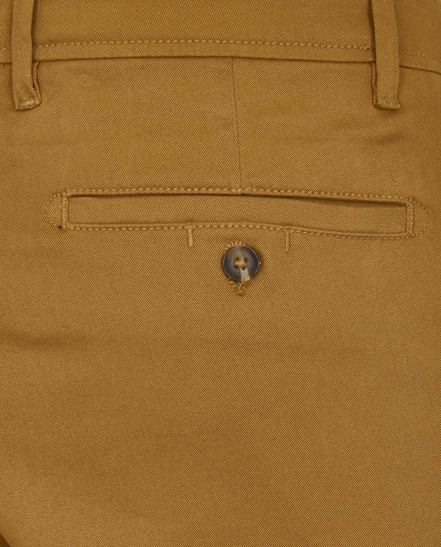 CNPTALA1G0P2170MUSTARD