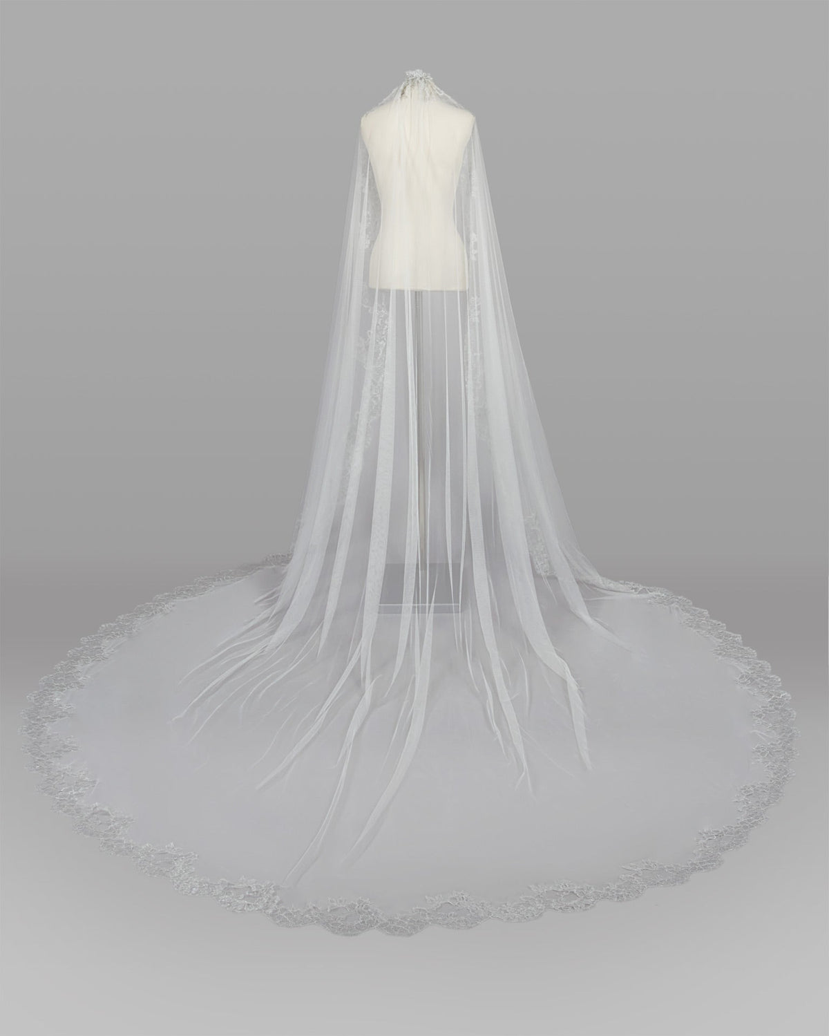 Veil