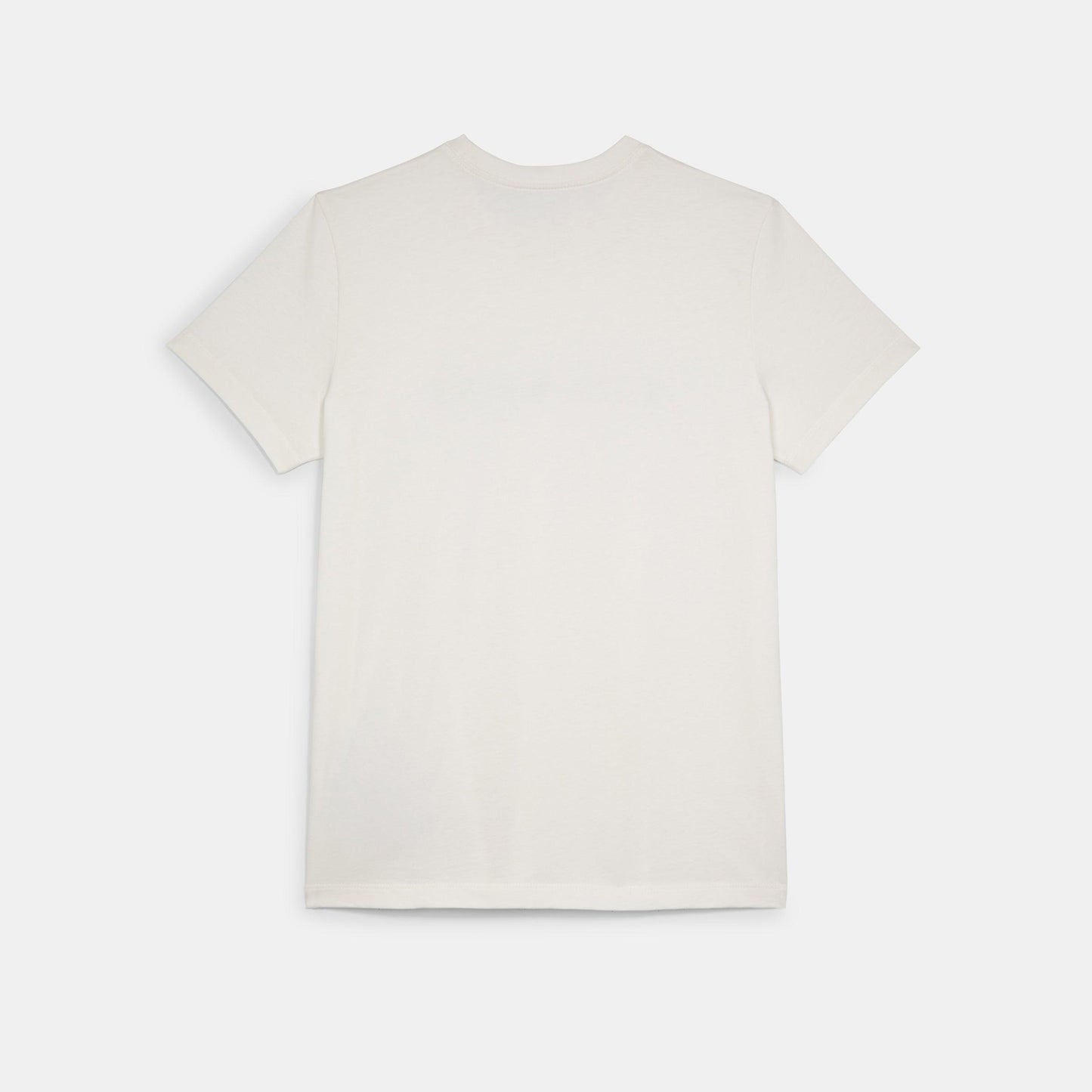 C8786-Essentials T-Shirt-White.