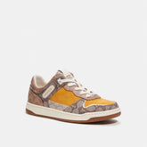 CK570-C201 Low Top Sneaker In Signature-Buttercup/Tan