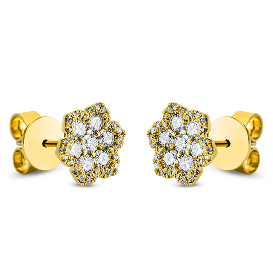 2M704G8-1-Yellow Gold