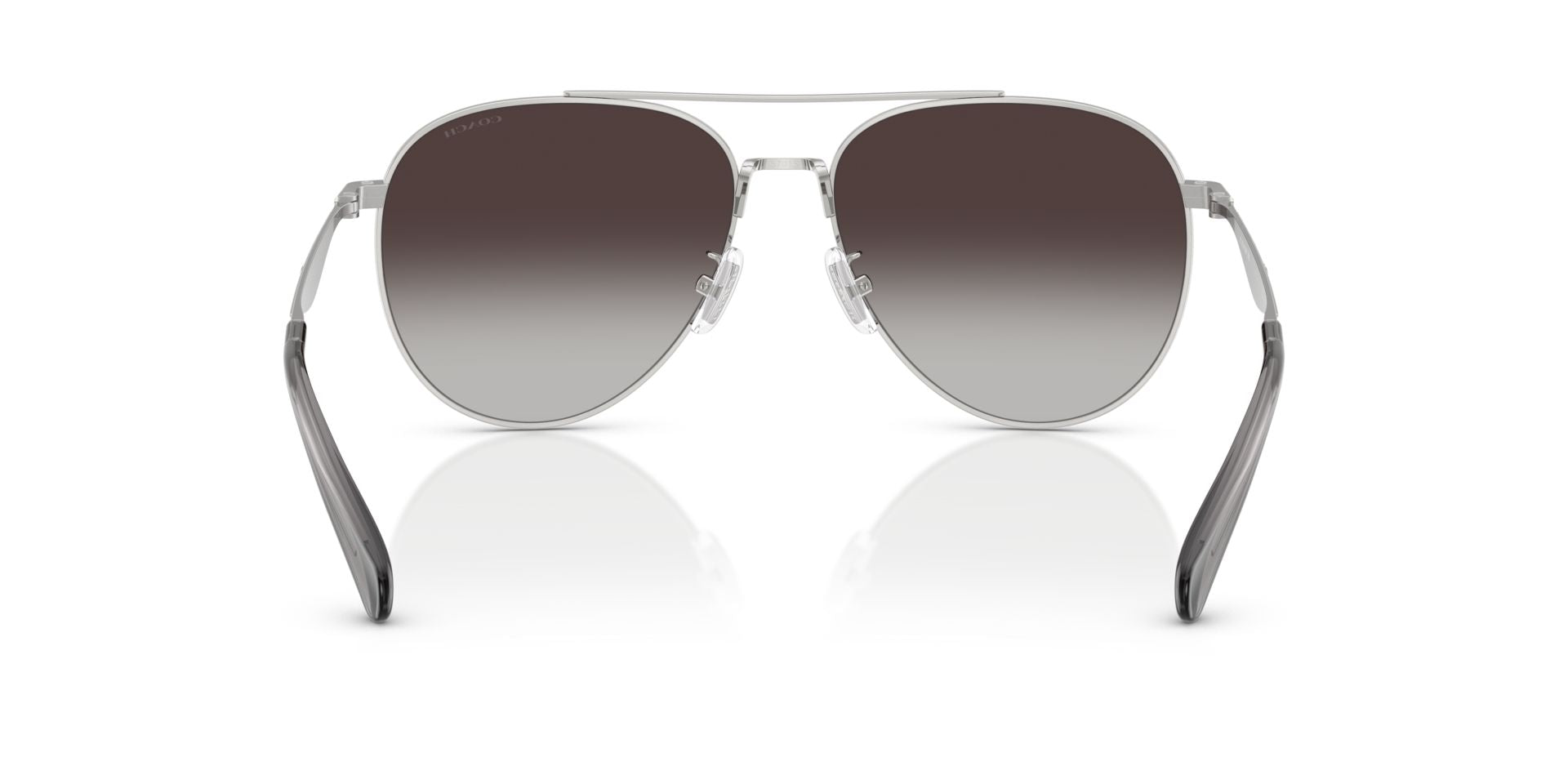 0HC7169-Polyamide Standard Woman Sunwear-Shiny Silver