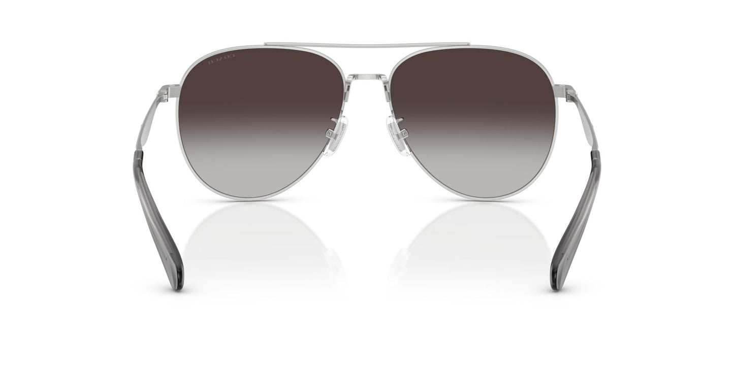 0HC7169-Polyamide Standard Woman Sunwear-Shiny Silver