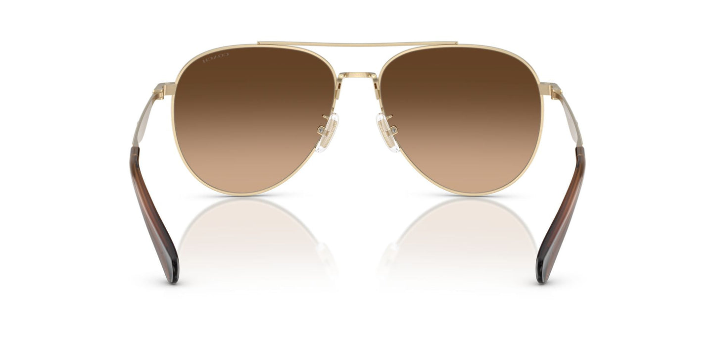 0HC7169-Polyamide Standard Woman Sunwear-Shiny Light Gold