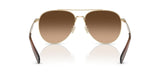 0HC7169-Polyamide Standard Woman Sunwear-Shiny Light Gold