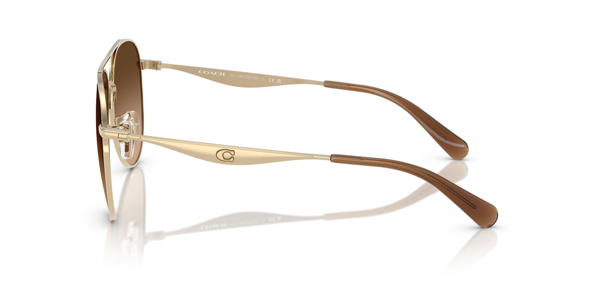 0HC7169-Polyamide Standard Woman Sunwear-Shiny Light Gold