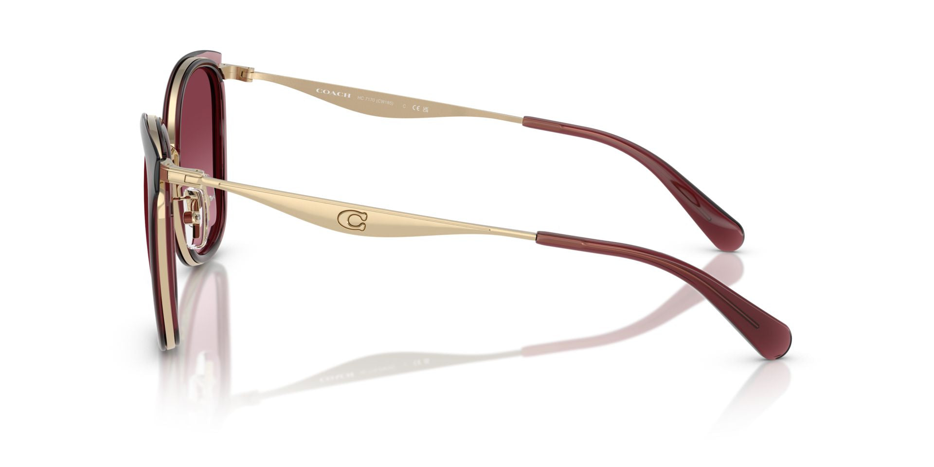 0HC7170-Polyamide Standard Woman Sunwear-Light Gold / Burgundy