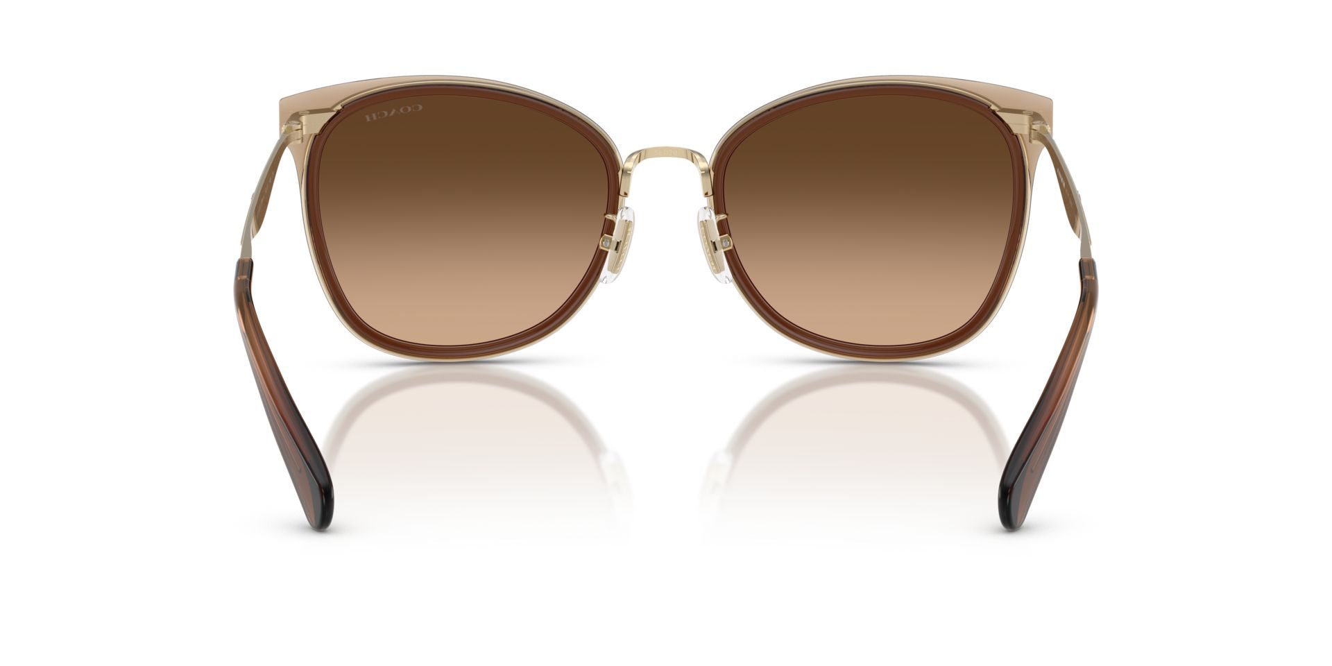 0HC7170-Polyamide Standard Woman Sunwear-Light Gold / Brown