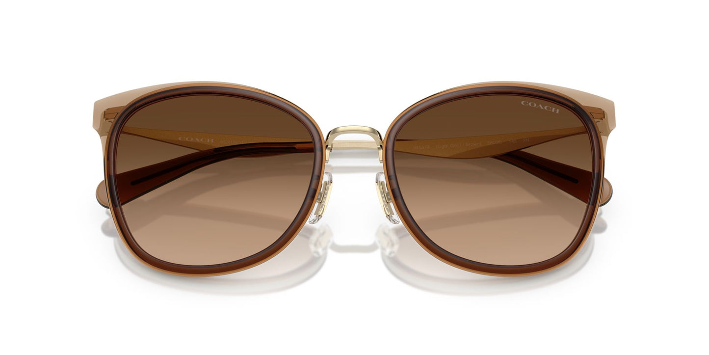 0HC7170-Polyamide Standard Woman Sunwear-Light Gold / Brown