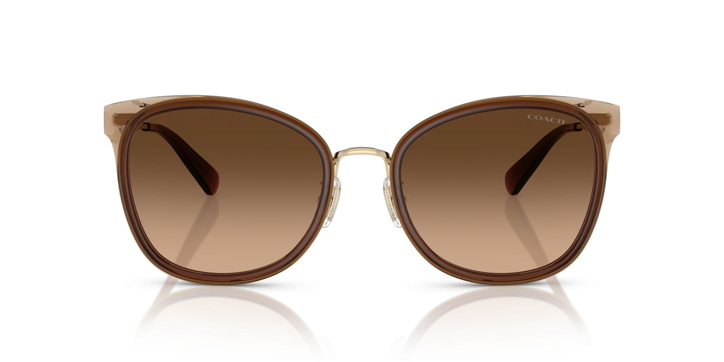 0HC7170-Polyamide Standard Woman Sunwear-Light Gold / Brown