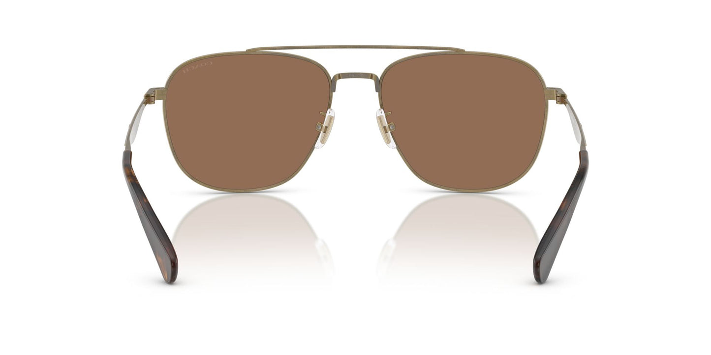 0HC7172-Polyamide Standard Man Sunwear-Antique Gold