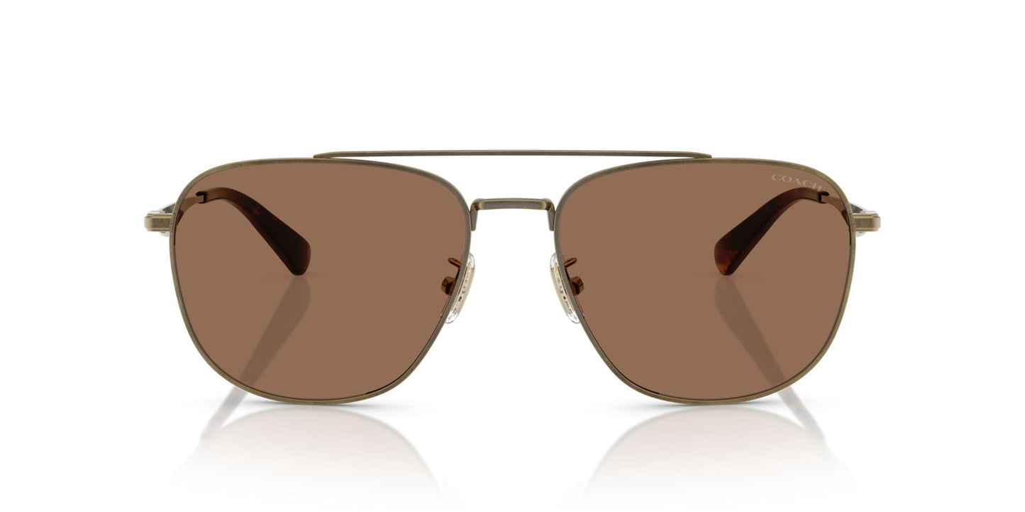0HC7172-Polyamide Standard Man Sunwear-Antique Gold
