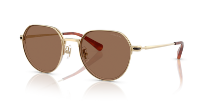 0HC7179-Coach Sunwear-Shiny Light Gold