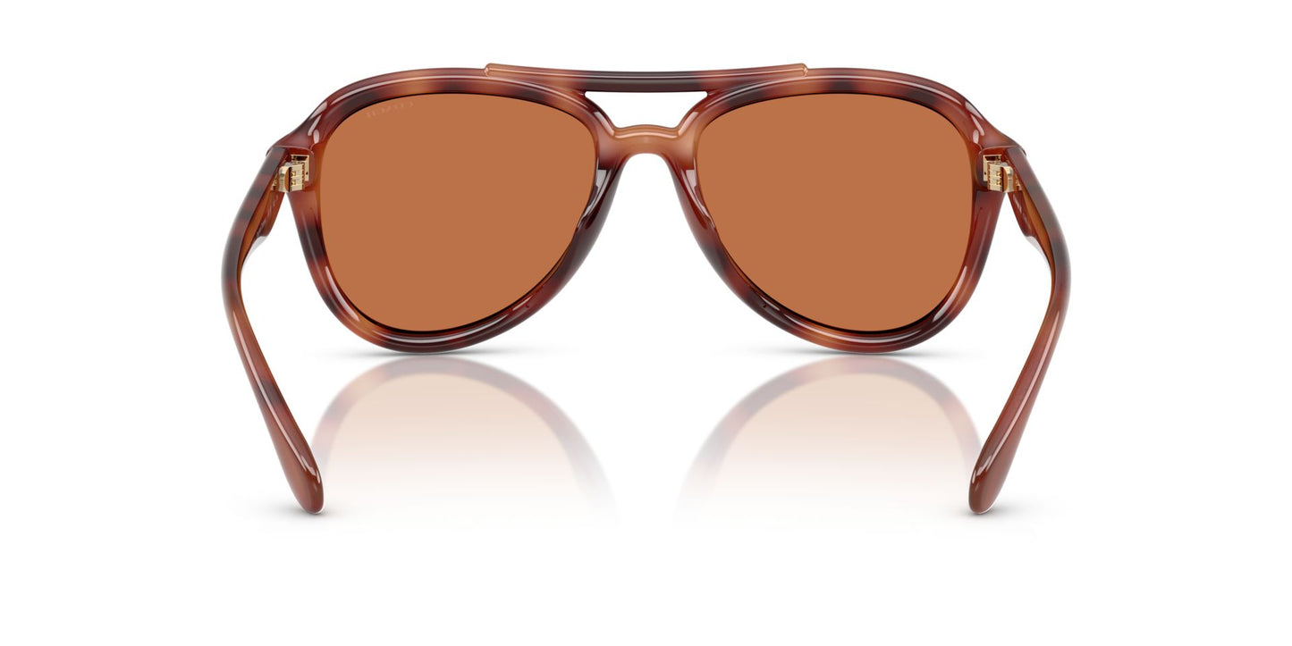 0HC8406U-Policarbonate Standard Woman Sunwear-Caramel Tortoise