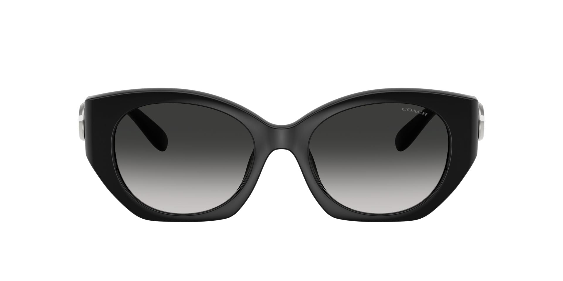 0HC8407U-Injected Woman Sunglass-Black