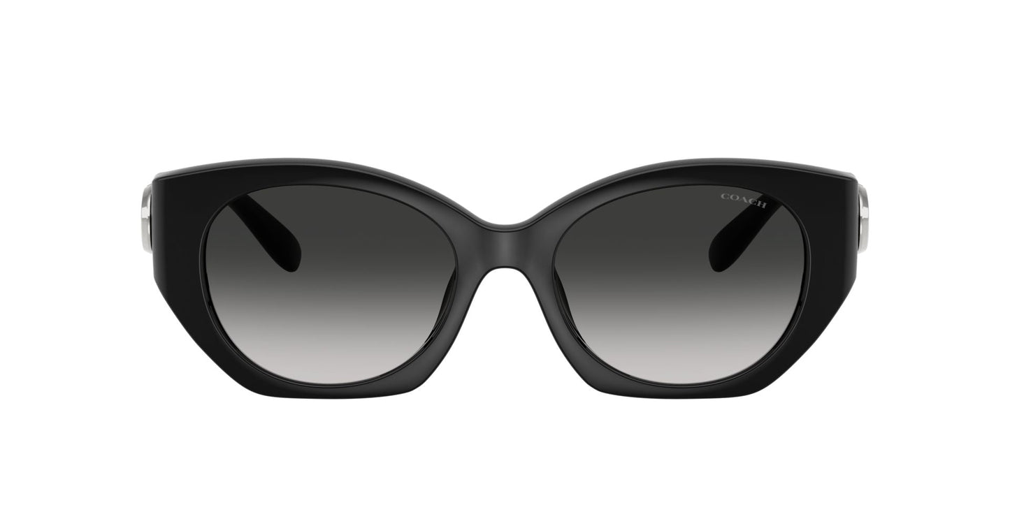 0HC8407U-Injected Woman Sunglass-Black