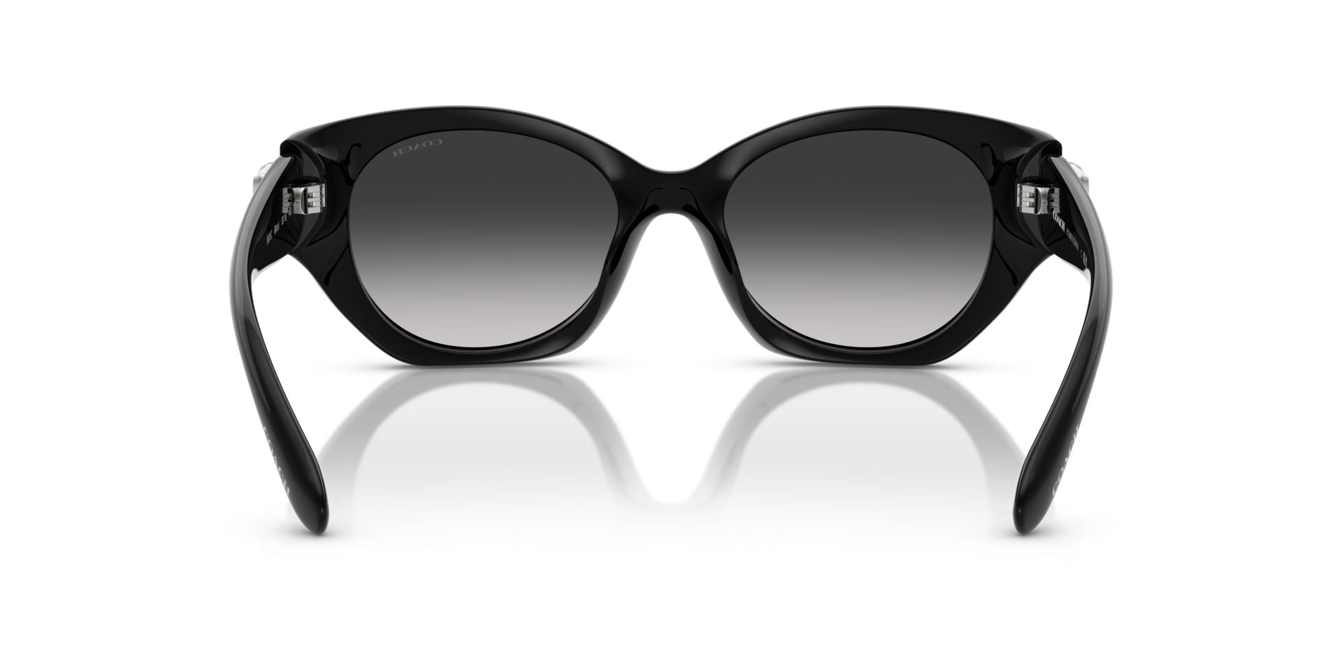0HC8407U-Injected Woman Sunglass-Black