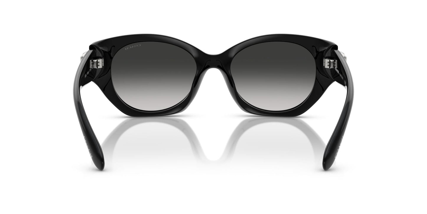 0HC8407U-Injected Woman Sunglass-Black
