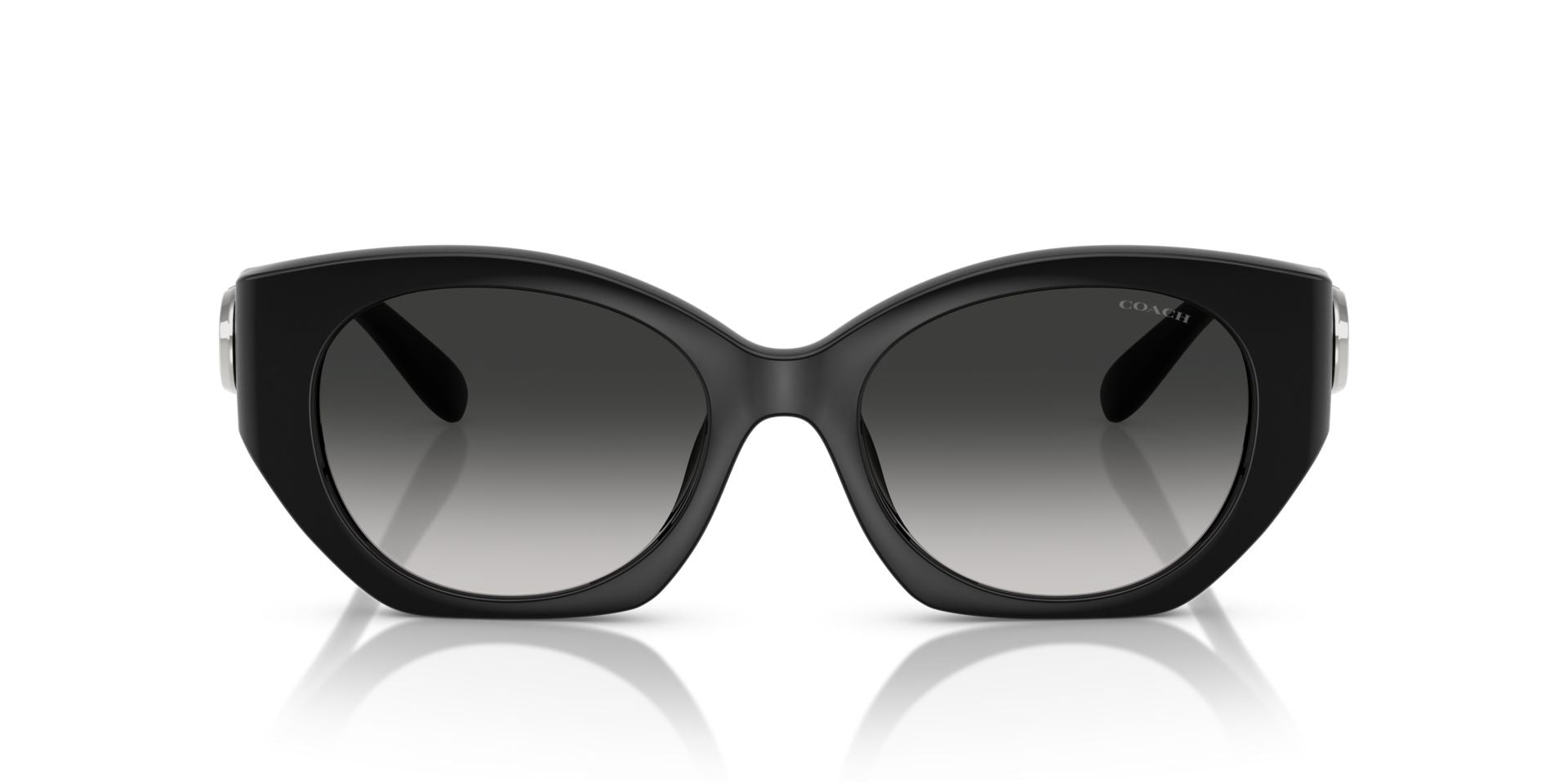 0HC8407U-Injected Woman Sunglass-Black