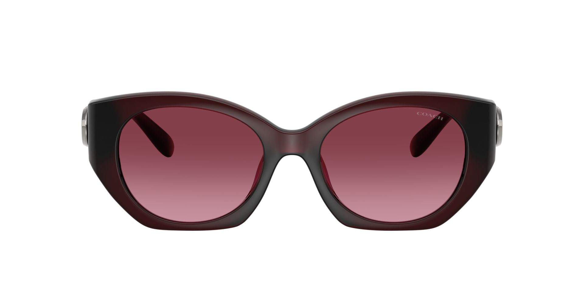 0HC8407U-Injected Woman Sunglass-Milky Burgundy