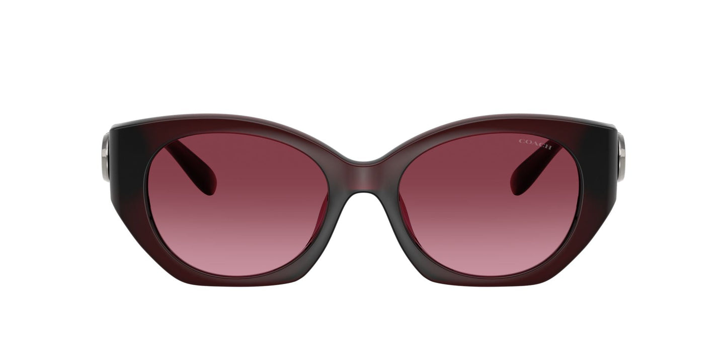 0HC8407U-Injected Woman Sunglass-Milky Burgundy