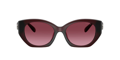 0HC8407U-Injected Woman Sunglass-Milky Burgundy