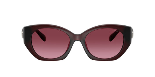 0HC8407U-Injected Woman Sunglass-Milky Burgundy