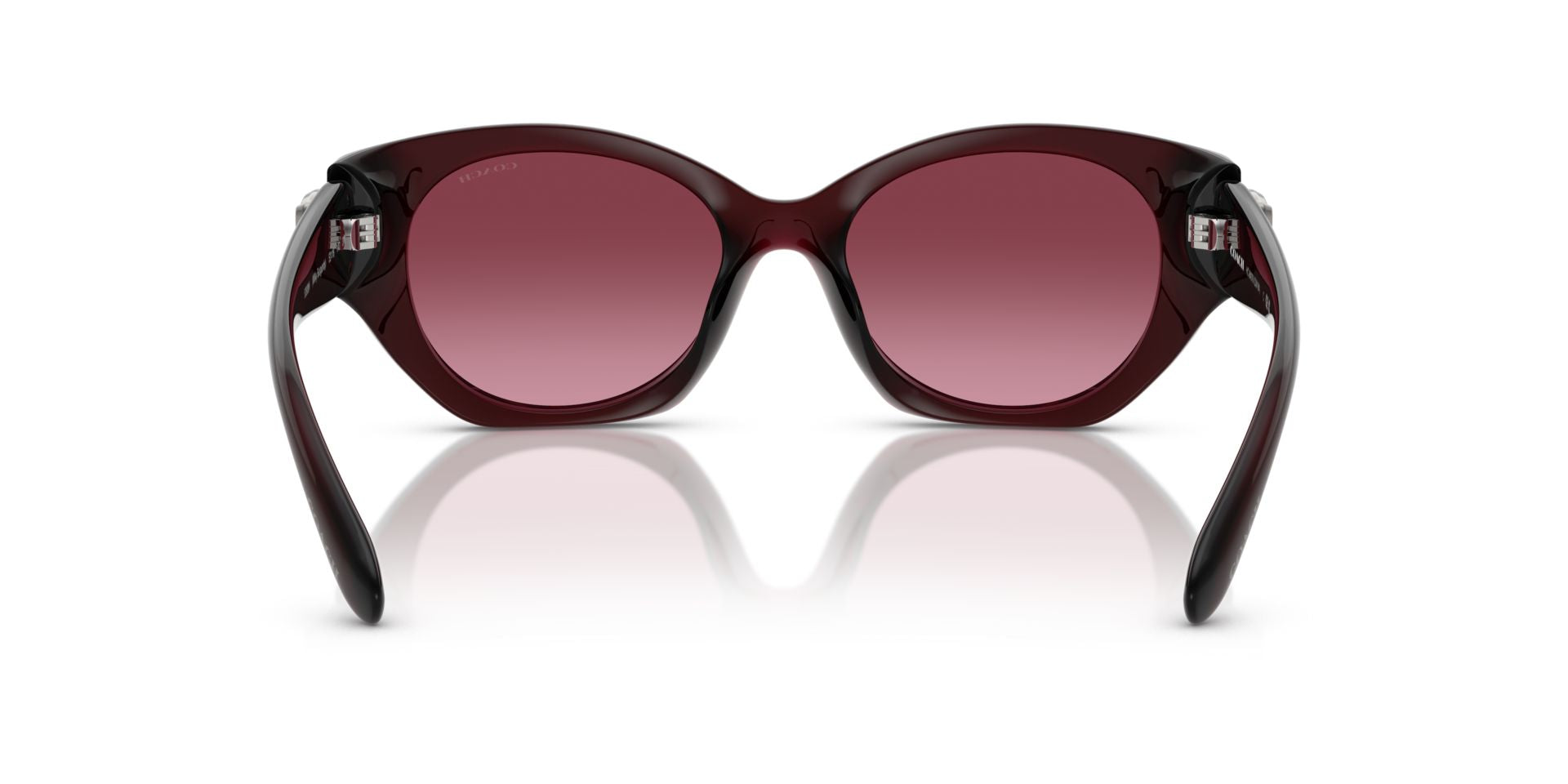 0HC8407U-Injected Woman Sunglass-Milky Burgundy