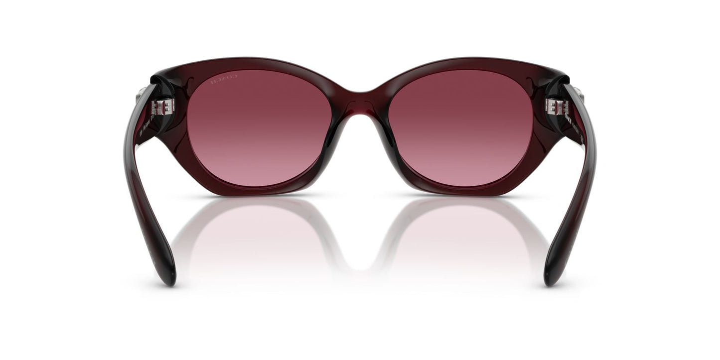 0HC8407U-Injected Woman Sunglass-Milky Burgundy