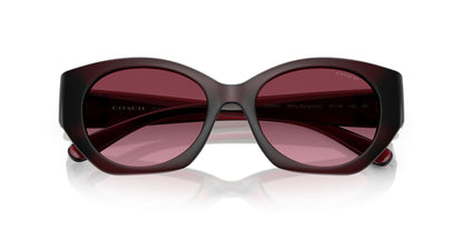 0HC8407U-Injected Woman Sunglass-Milky Burgundy