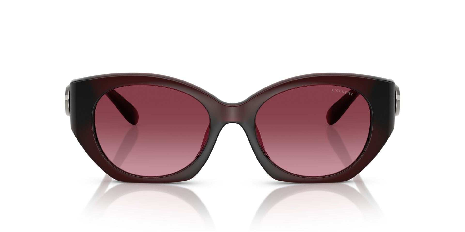 0HC8407U-Injected Woman Sunglass-Milky Burgundy