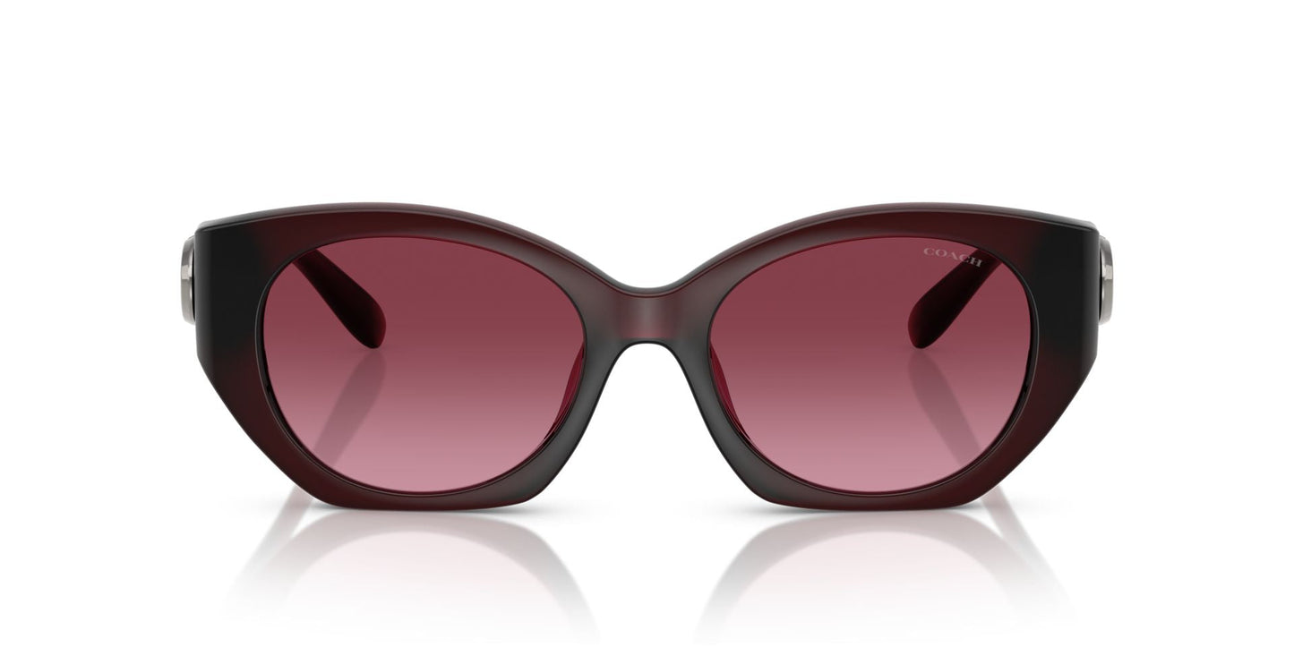 0HC8407U-Injected Woman Sunglass-Milky Burgundy