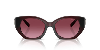 0HC8407U-Injected Woman Sunglass-Milky Burgundy