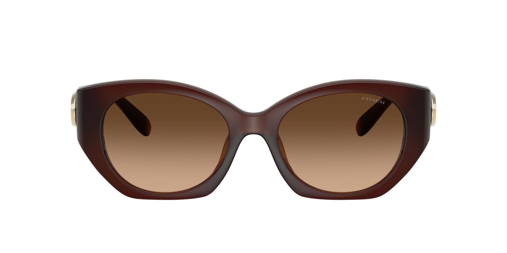 0HC8407U-Injected Woman Sunglass-Milky Hazelnut