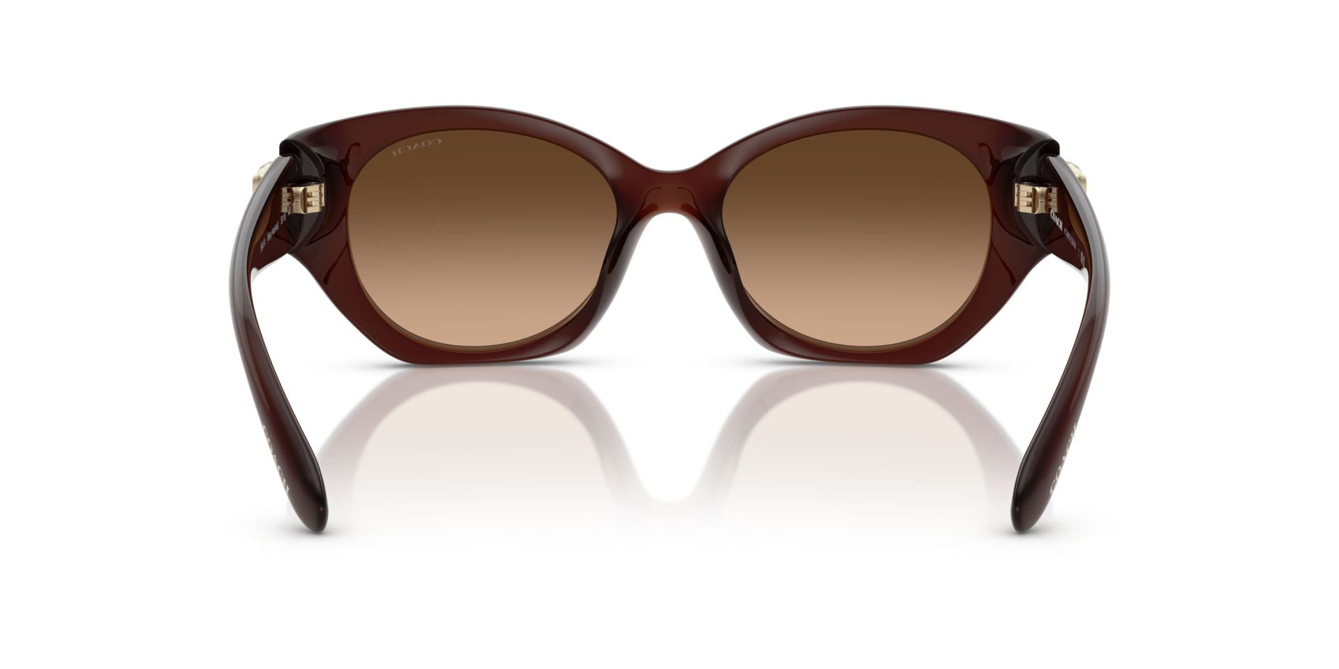0HC8407U-Injected Woman Sunglass-Milky Hazelnut