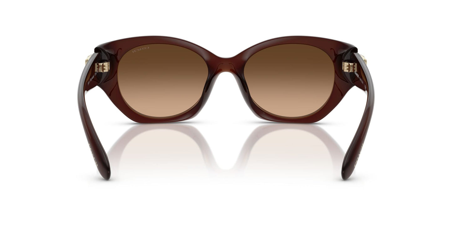 0HC8407U-Injected Woman Sunglass-Milky Hazelnut
