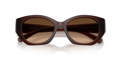 0HC8407U-Injected Woman Sunglass-Milky Hazelnut