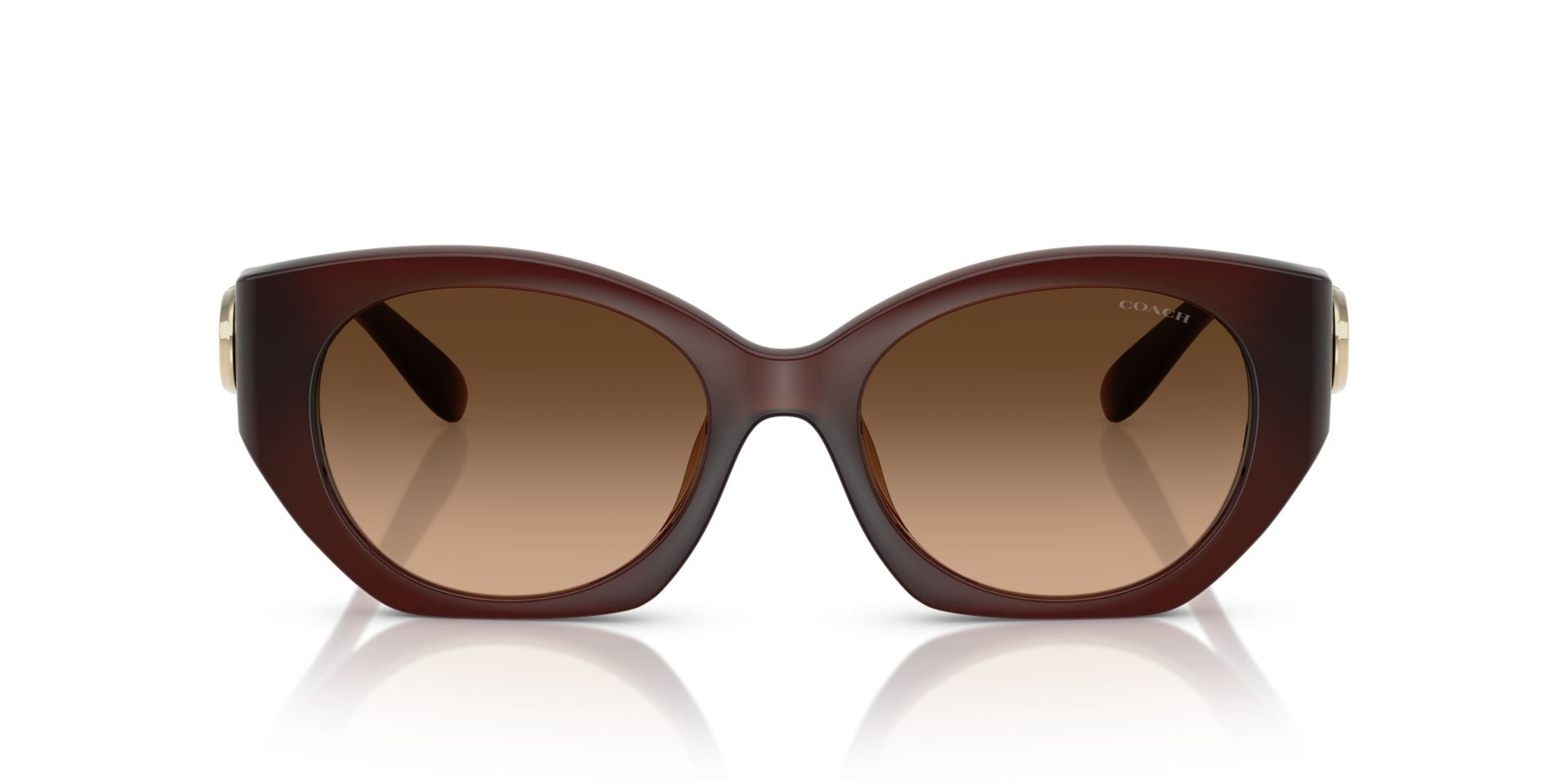 0HC8407U-Injected Woman Sunglass-Milky Hazelnut