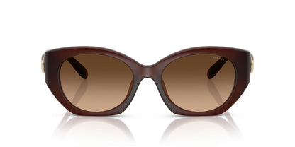 0HC8407U-Injected Woman Sunglass-Milky Hazelnut