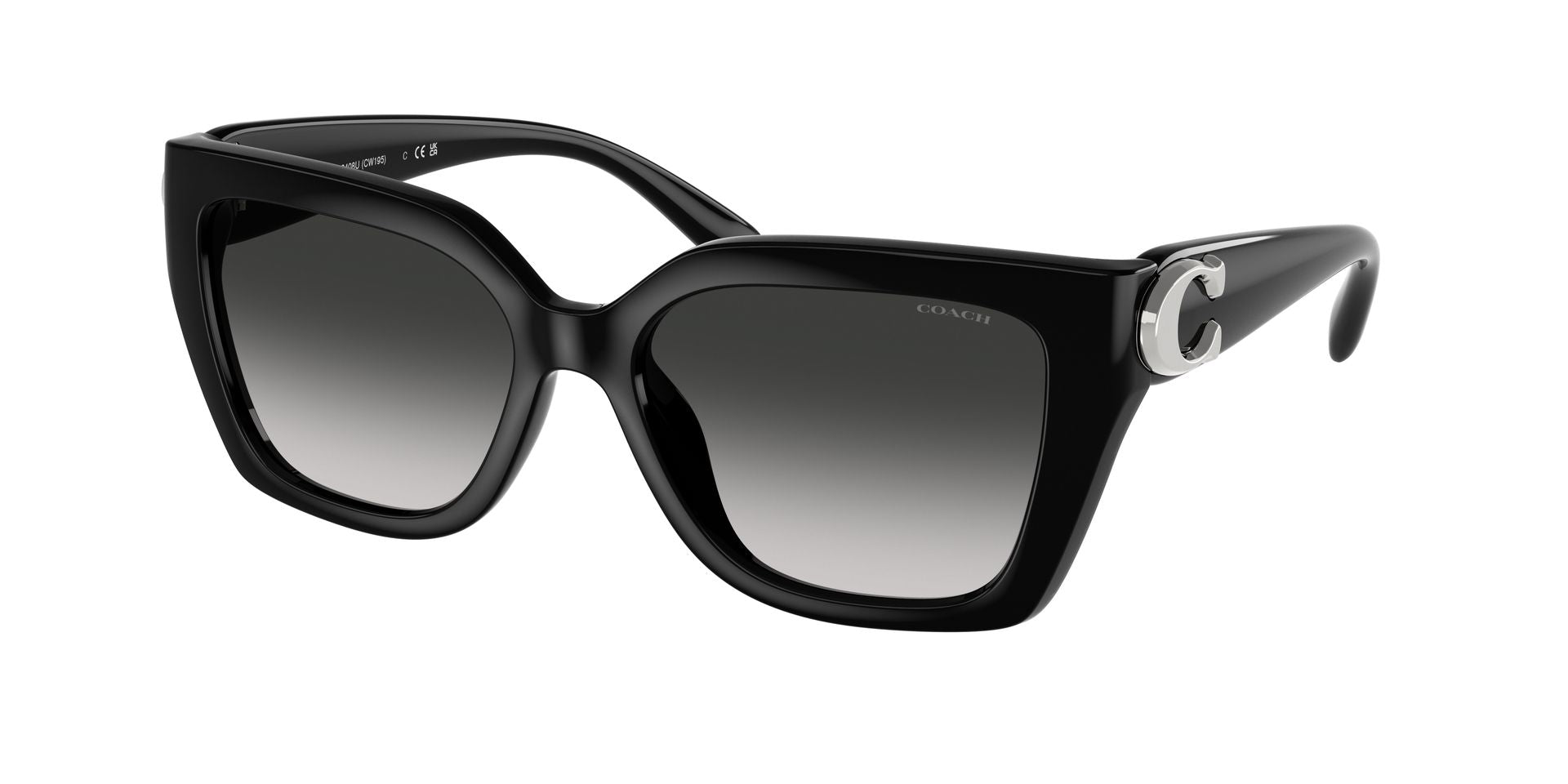 0HC8408U-Injected Woman Sunglass-Black