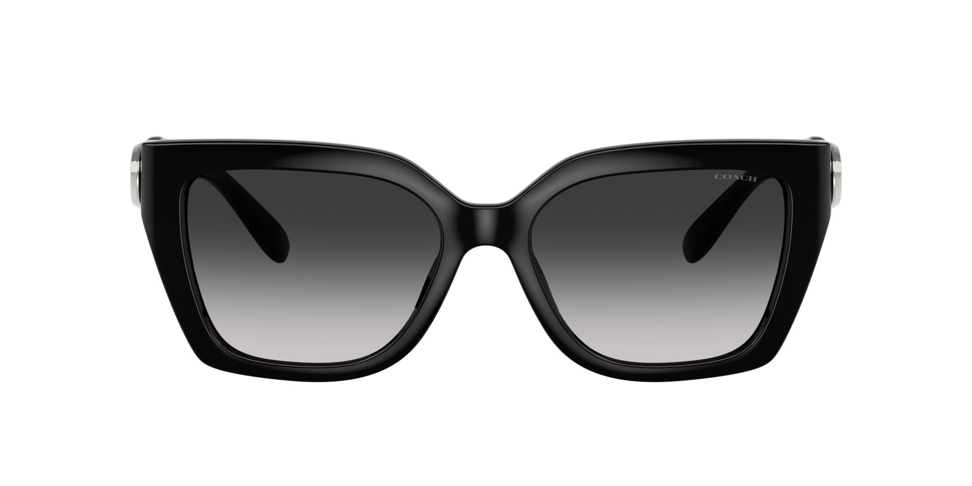 0HC8408U-Injected Woman Sunglass-Black